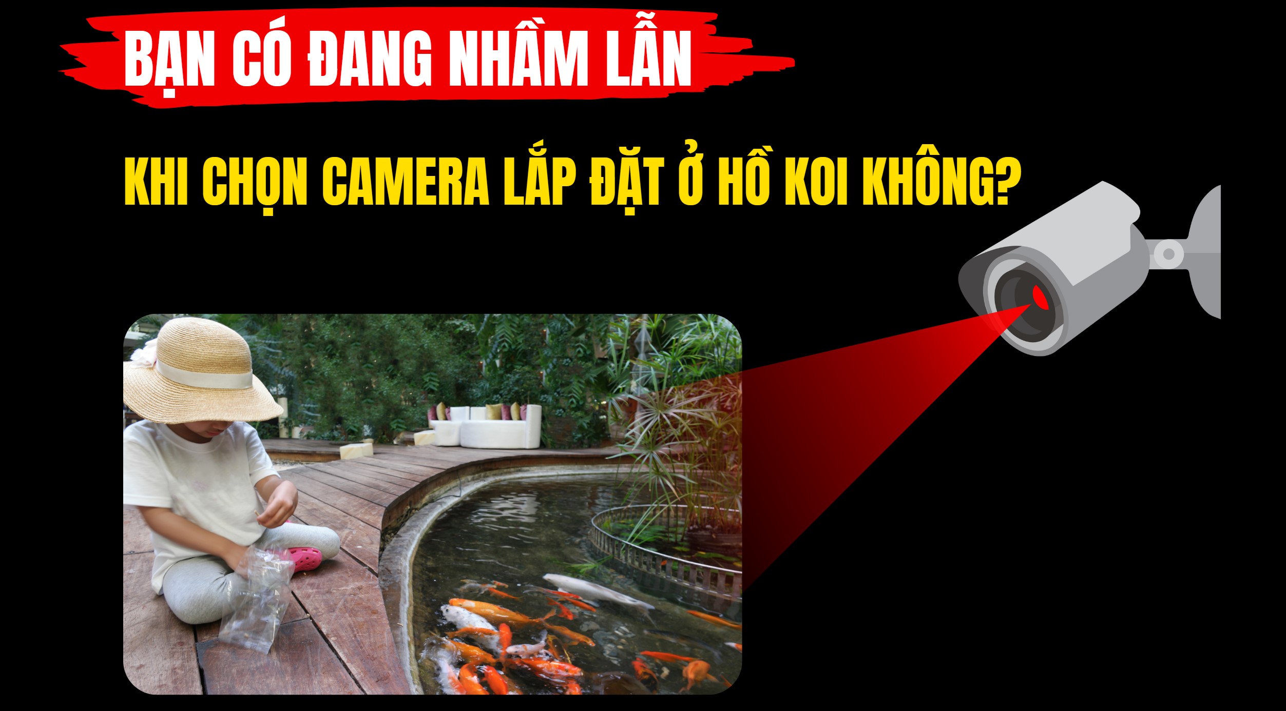 Bạn có đang nhầm lẫn khi chọn Camera lắp đặt ở Hồ Koi không?