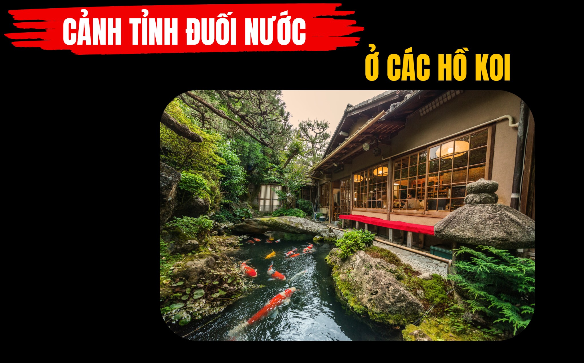 Cảnh tỉnh đuối nước Hồ Koi